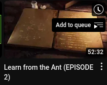 Learn from the Ant 2